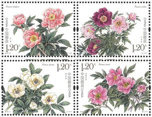 2019-09 Chinese Herbaceous Peony