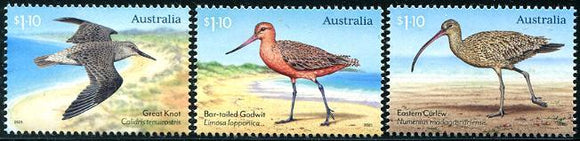 AUS2021-14 Australia Migratory Shorebirds