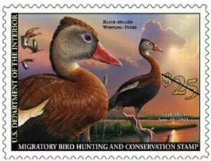 US #RW87 2020 Federal Duck Stamp